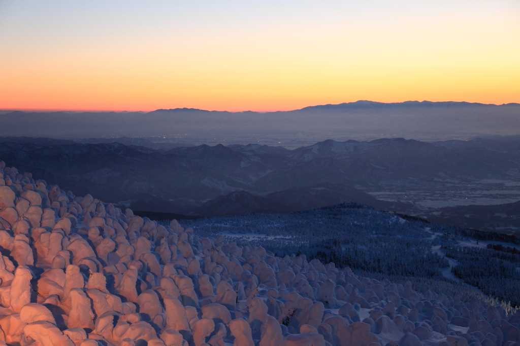 樹氷原トワイライトタイム