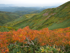山の上は秋