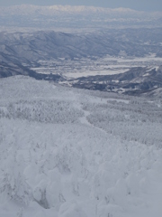 樹氷の路