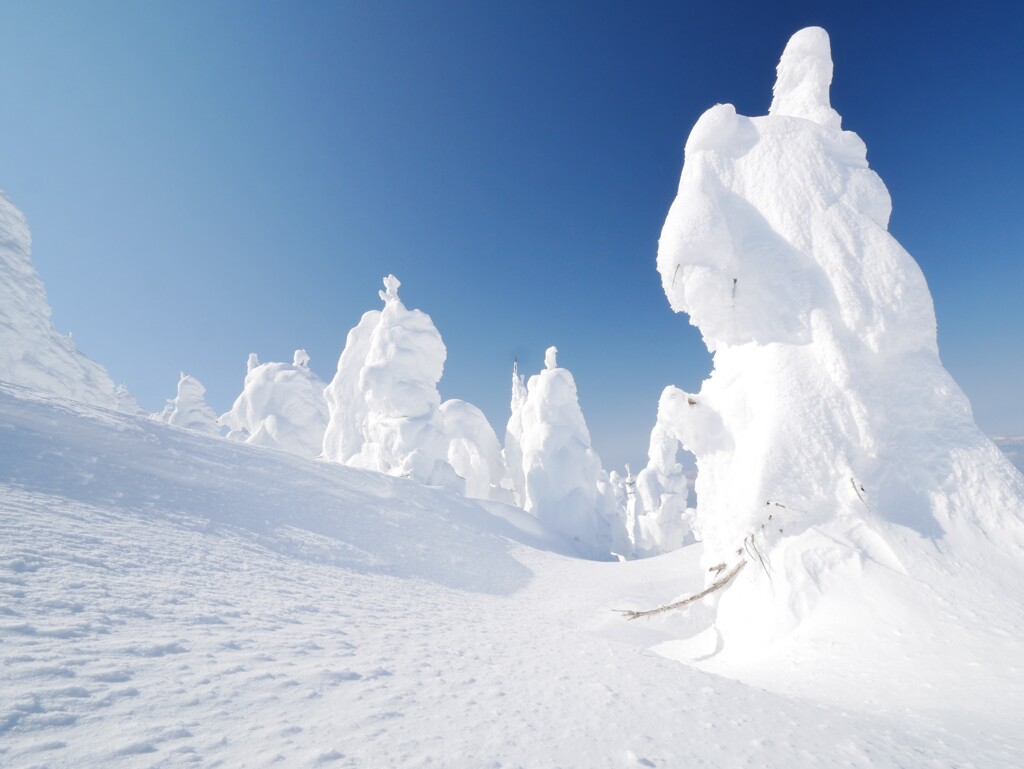 Clear Snow