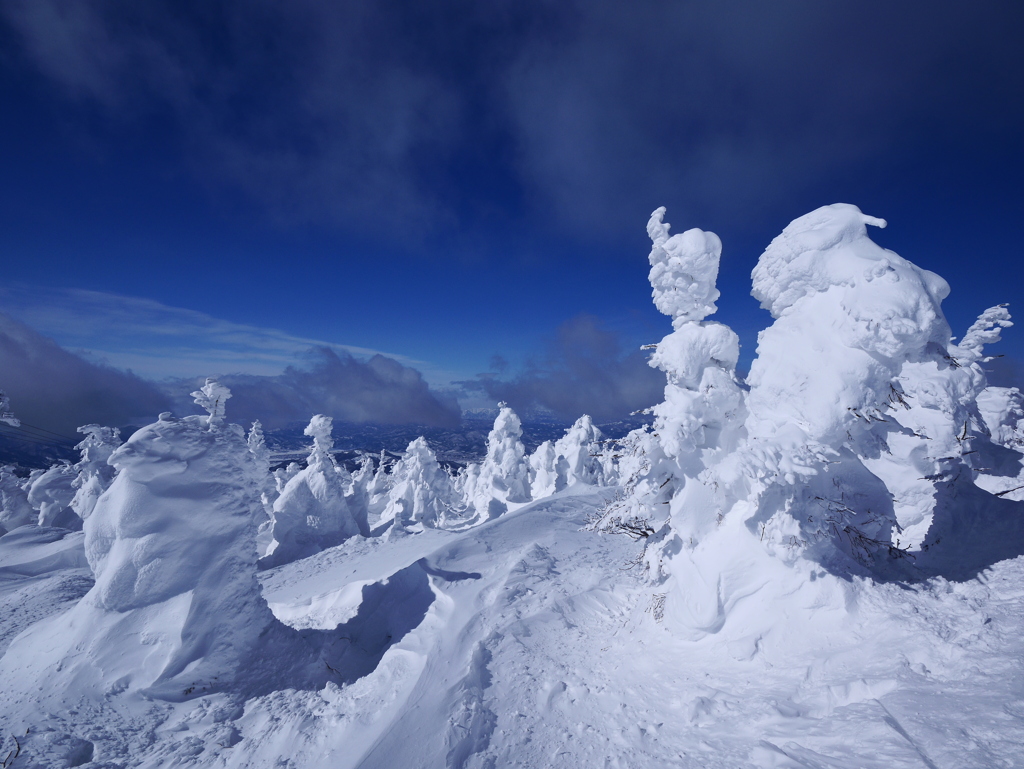 雪の王子