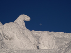 雪原の月