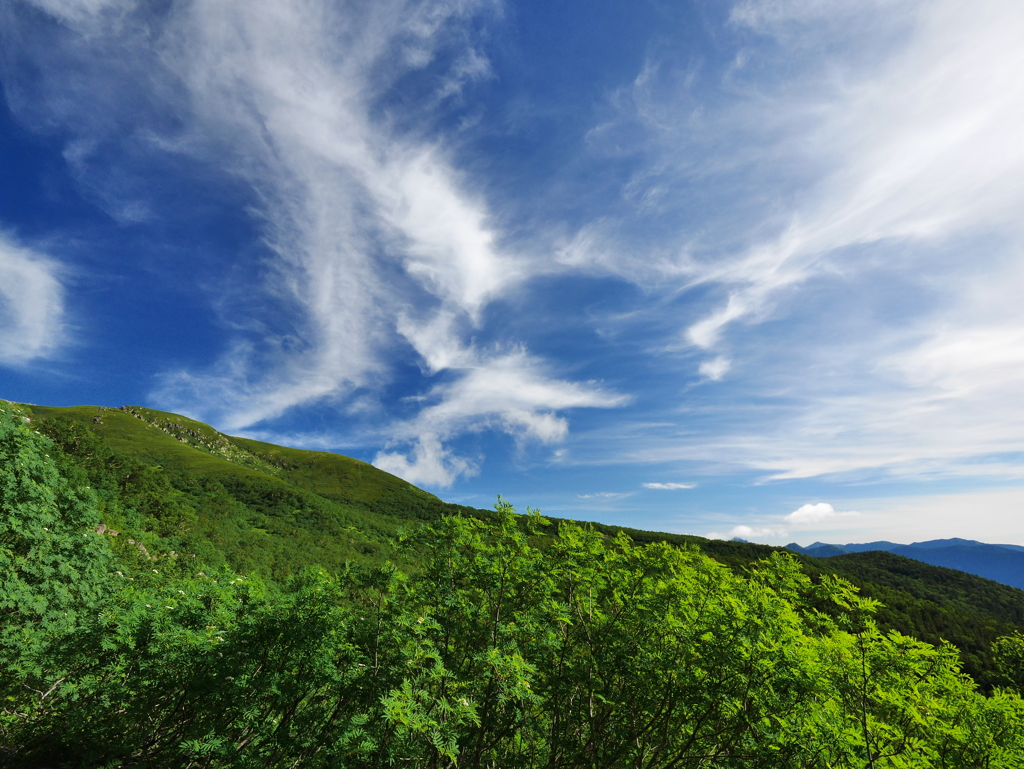 夏空