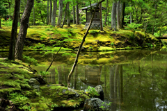 西芳寺（苔寺）の庭園③