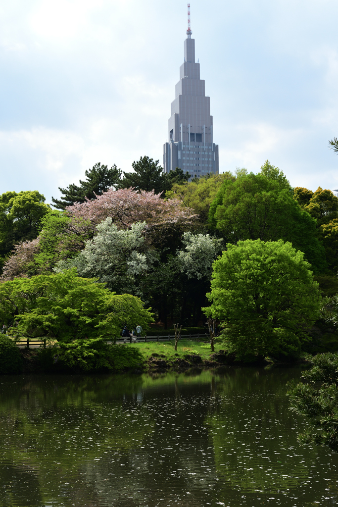 新宿御苑⑤