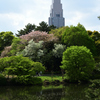 新宿御苑⑤