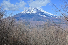 越前岳からの富士山