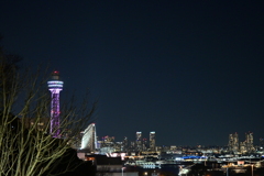 マリンタワーの夜景