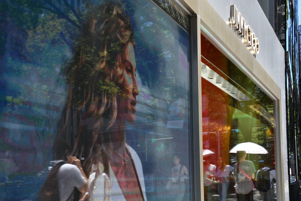 夏のショーウィンドウ