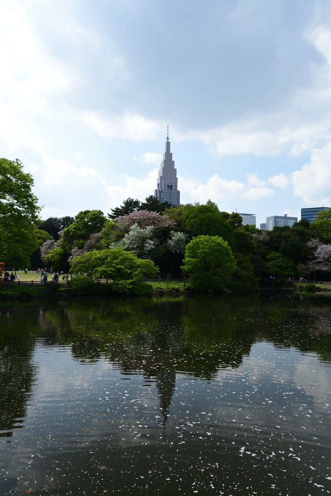 新宿御苑④