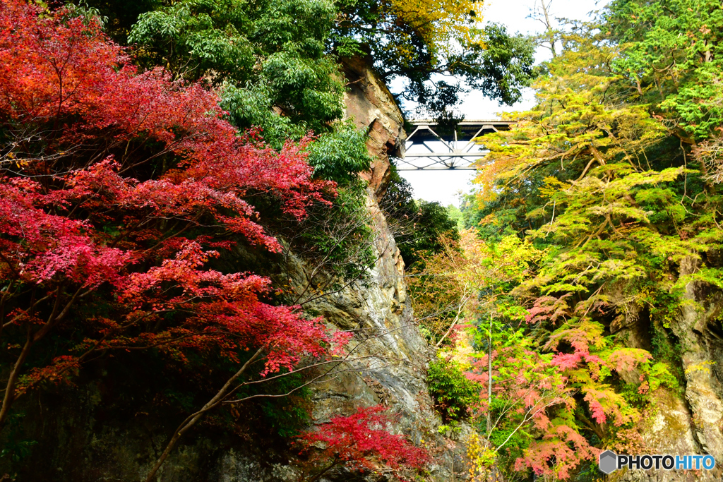 鳩ノ巣小橋と紅葉