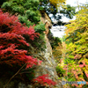 鳩ノ巣小橋と紅葉