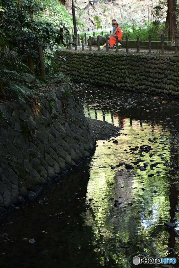 川縁のひととき