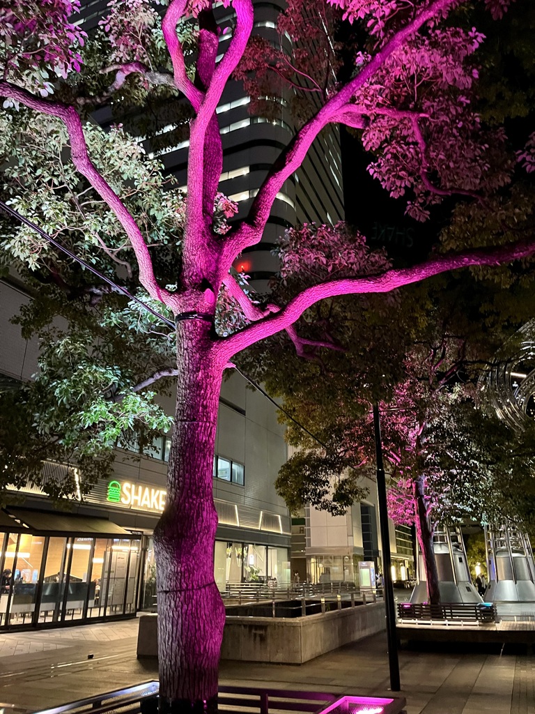 みなとみらい②