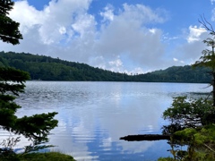 白駒池