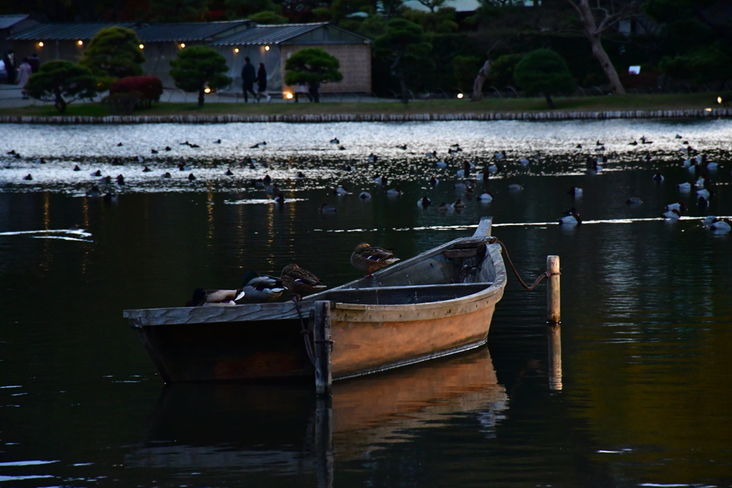 夕暮れの大池