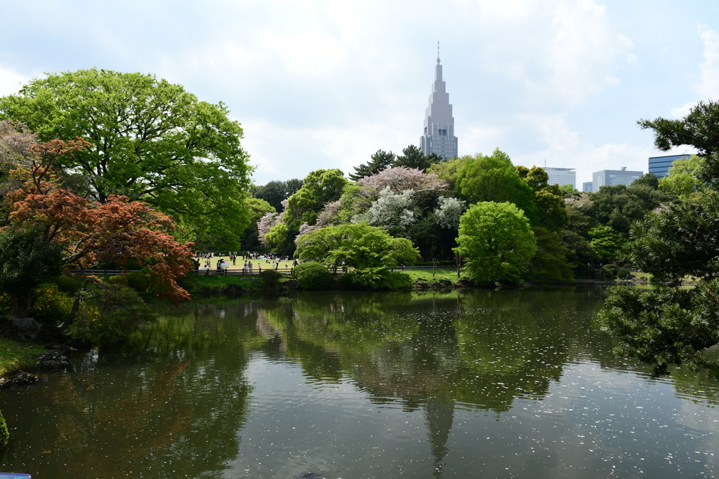 新宿御苑⑦