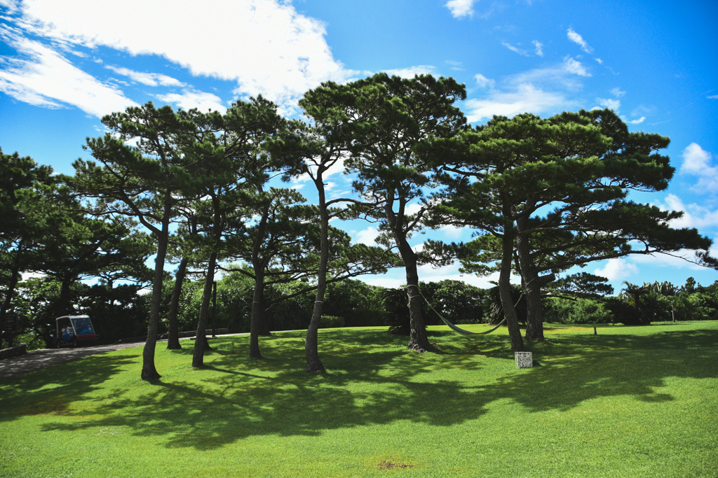 はいむるぶしの景色