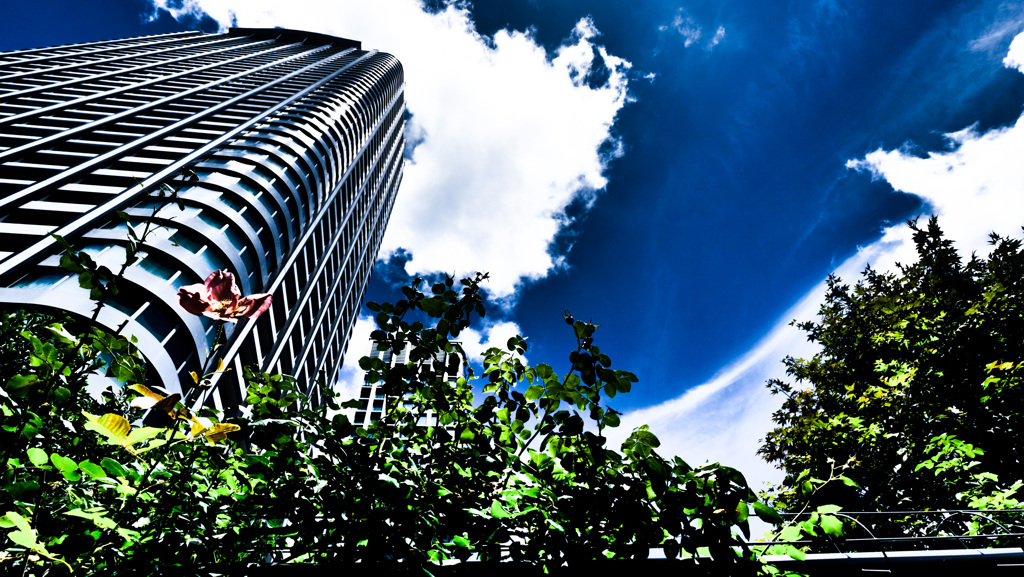 Tower & Nature