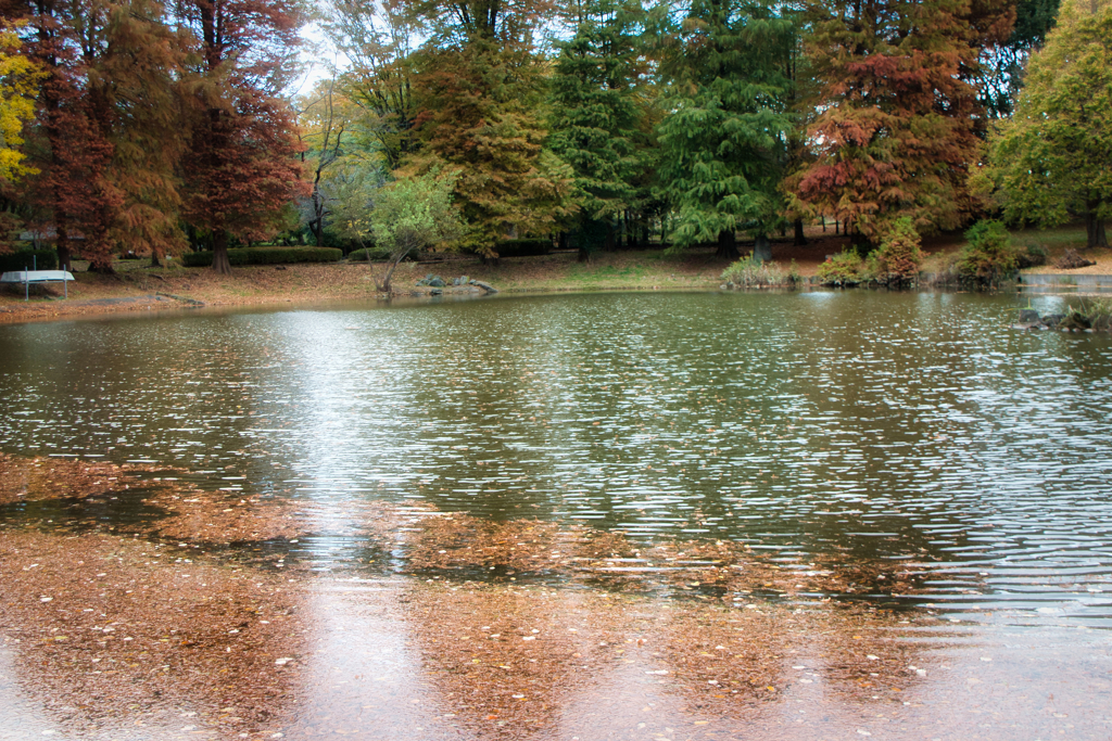 待ち焦がれた・・・3