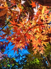坂戸大智寺2