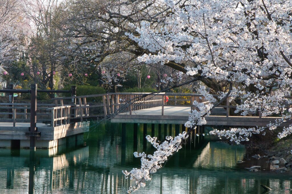 鶴ヶ島のとある公園にて1