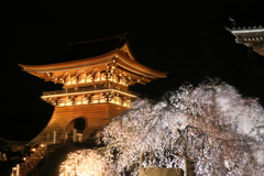 撮りため2