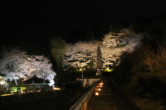 撮りため4