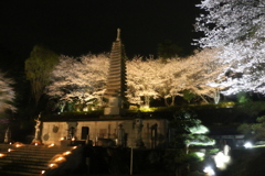 撮りため3