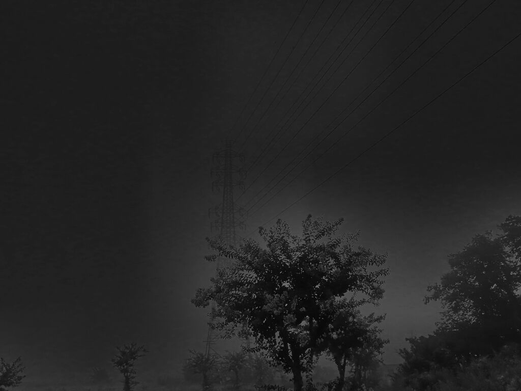 靄の朝1
