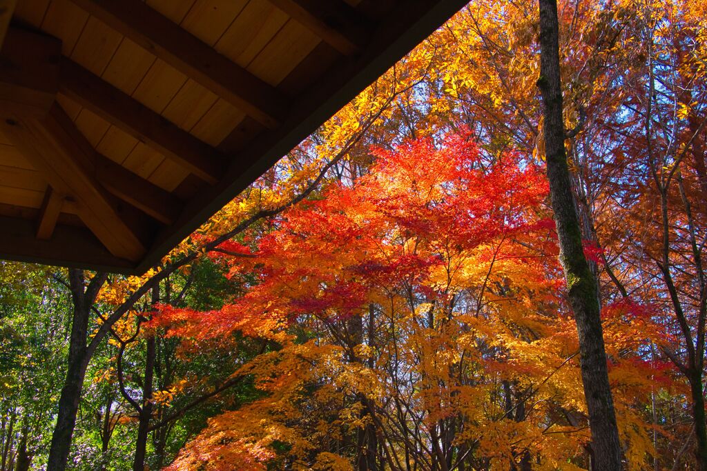 鶴ヶ島の公園で3