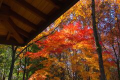 鶴ヶ島の公園で3