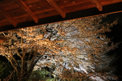 撮りため5