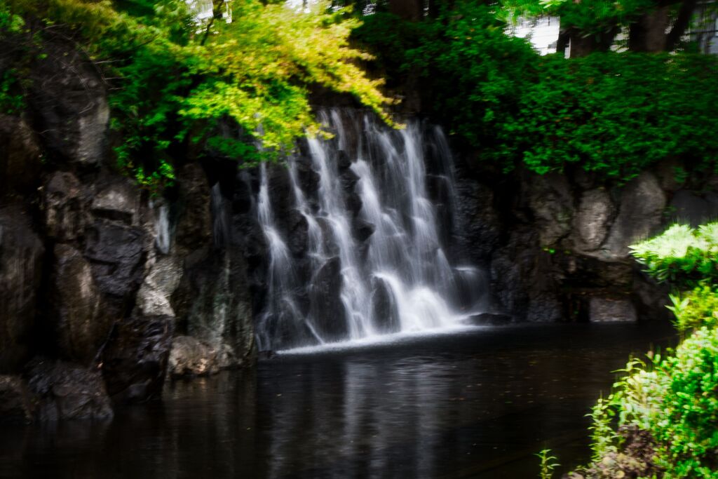 上尾丸山公園6