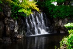 上尾丸山公園6