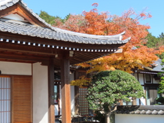 高麗の山寺　秋2