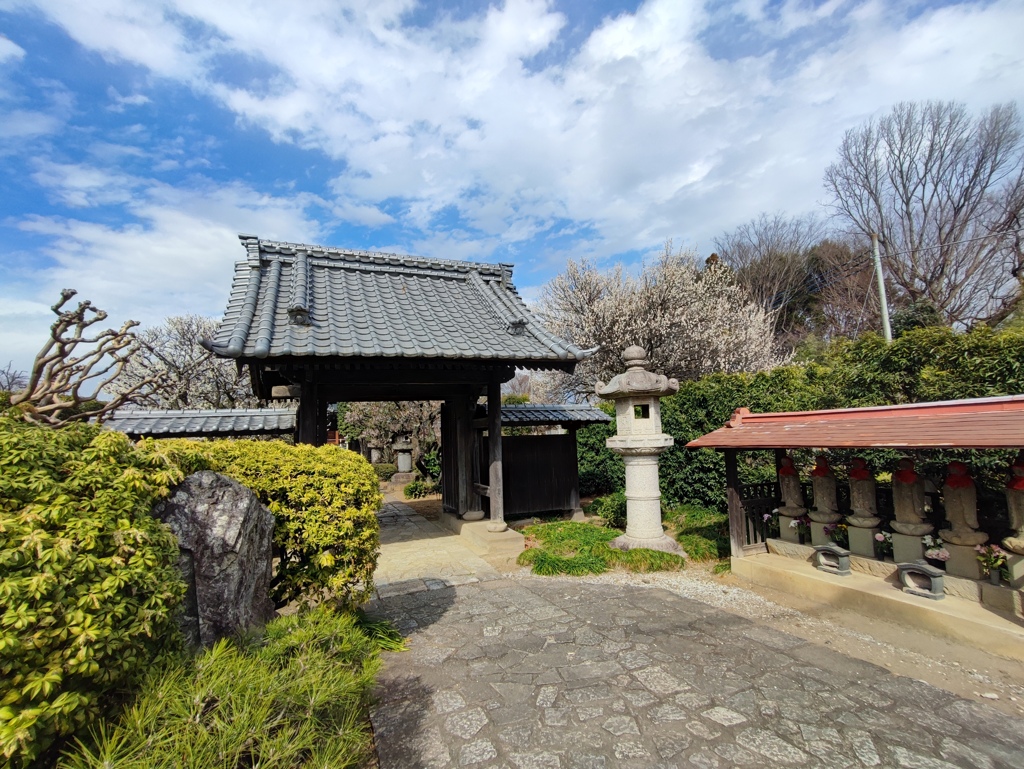 川越常楽寺3
