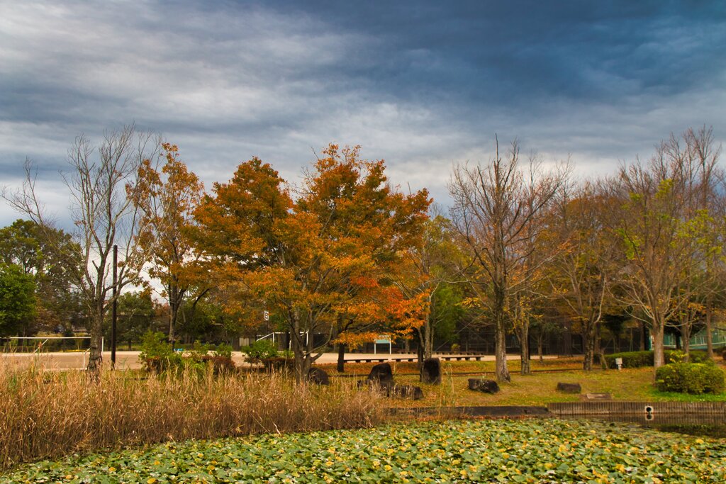 待ち焦がれた・・・４