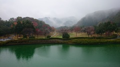 お気にの地1