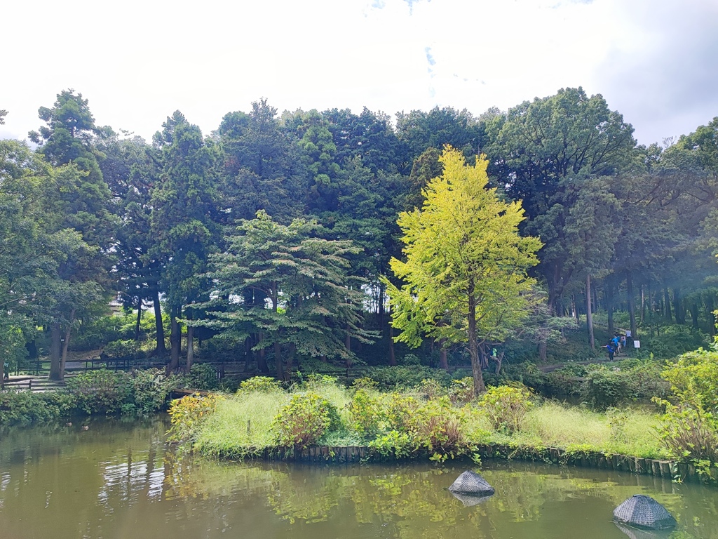 上尾丸山公園1