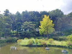 上尾丸山公園1