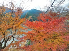 飯能名栗湖4