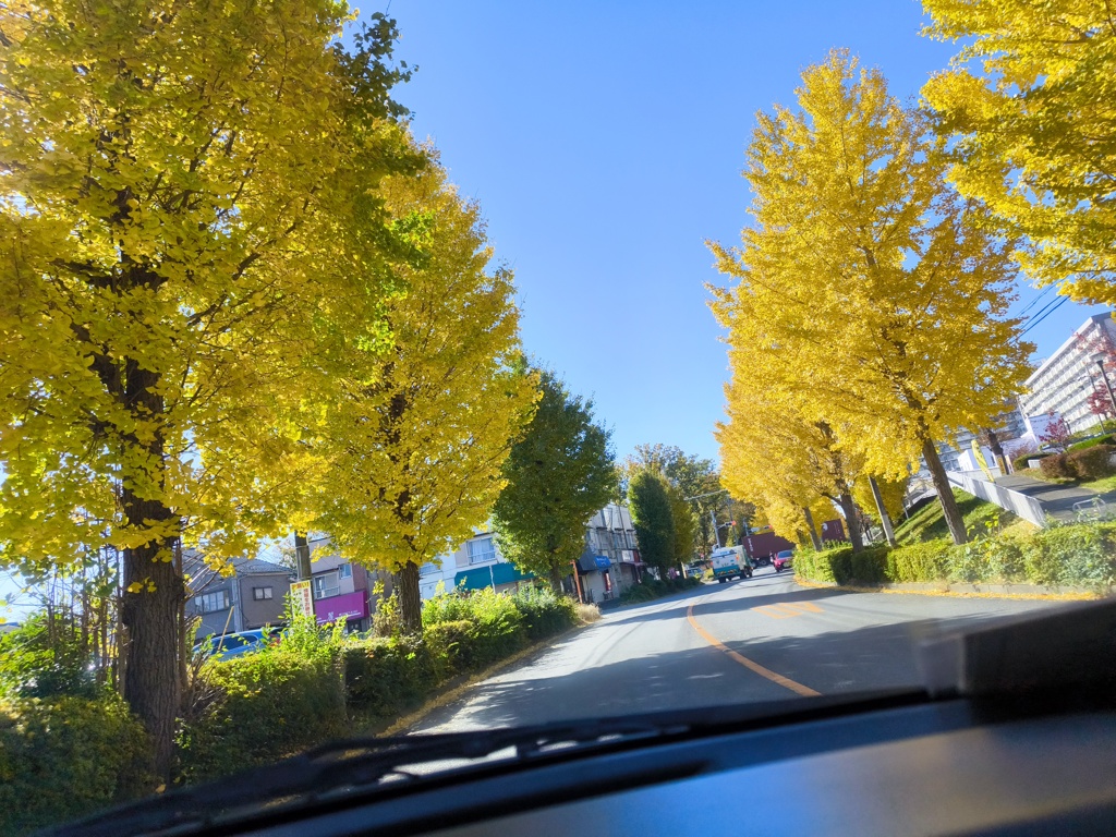 車窓からの秋