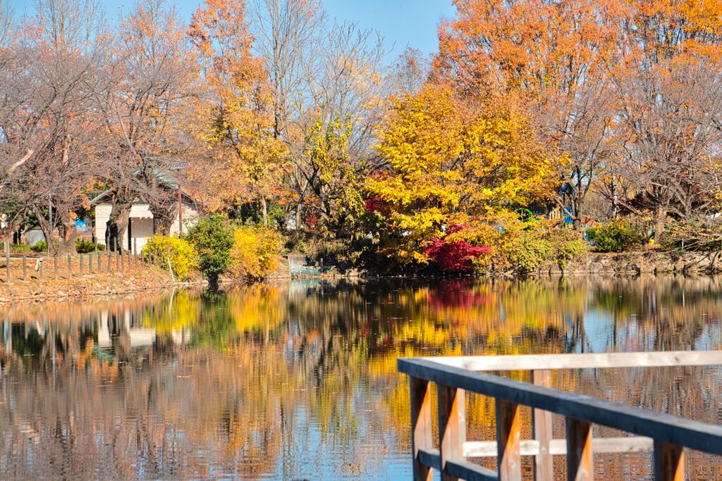 鶴ヶ島の公園で6