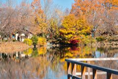 鶴ヶ島の公園で6