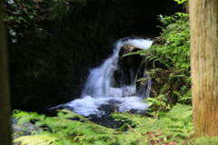黒山散策1
