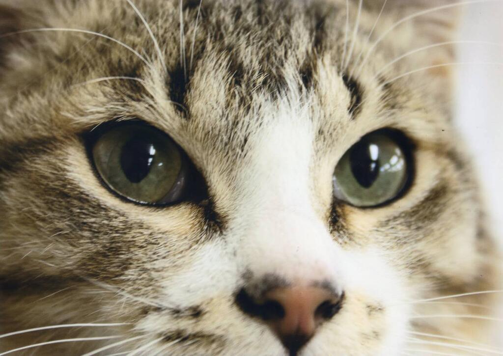 狙う