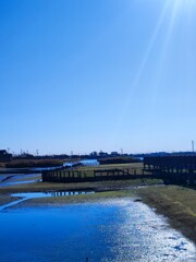 川越伊佐沼