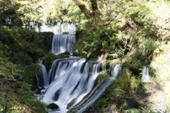 嬬恋白糸の滝1
