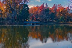 鶴ヶ島の公園で1